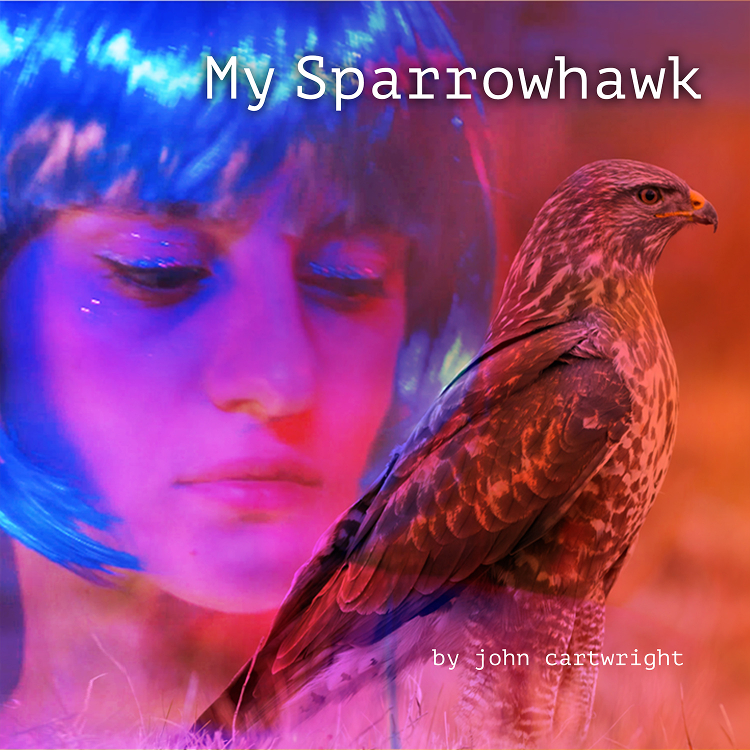 cd artwork cover of ‘My Sparrowhawk’ by daisychaindaze